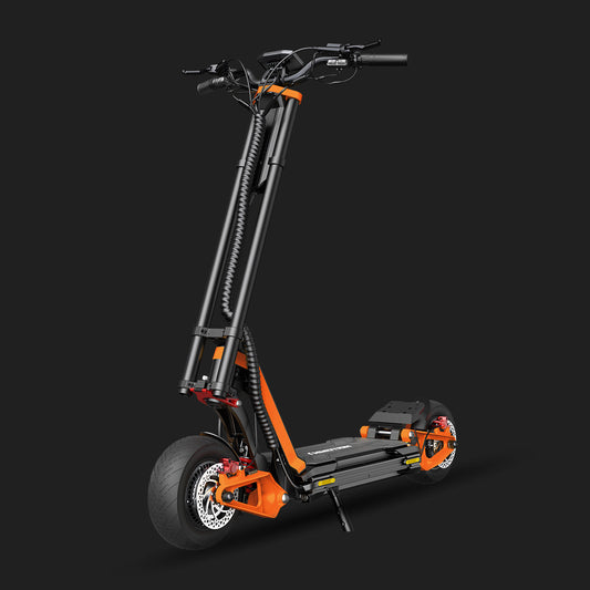 INMOTION RS Lite